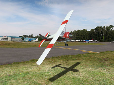 Phoenix Model Flight simulator